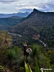 Main Range National Park