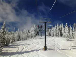 Colville National Forest