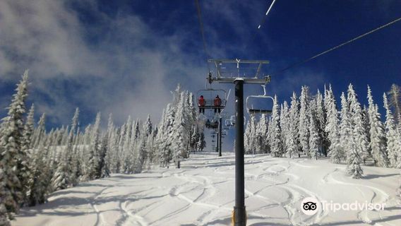 Colville National Forest
