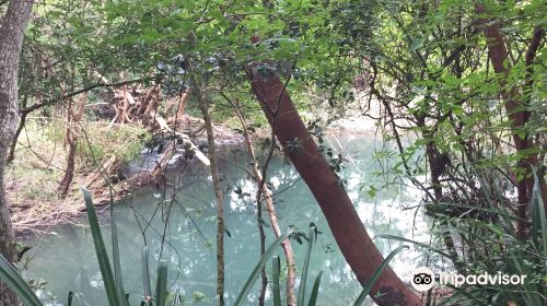 Lomas de Barbudal Biological Reserve