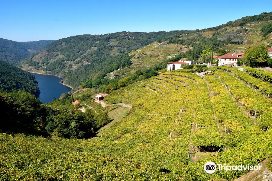 Abadia da Cova