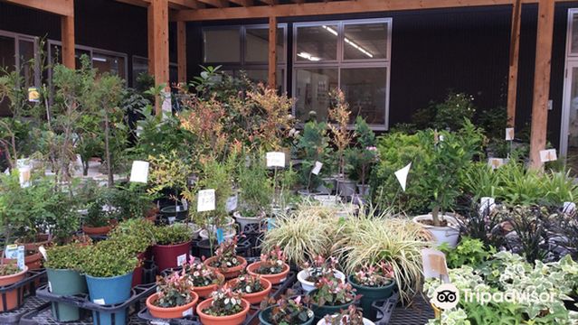 Sano Tourist Farm Strawberry Field Agritown