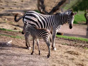 Terra Natura Murcia