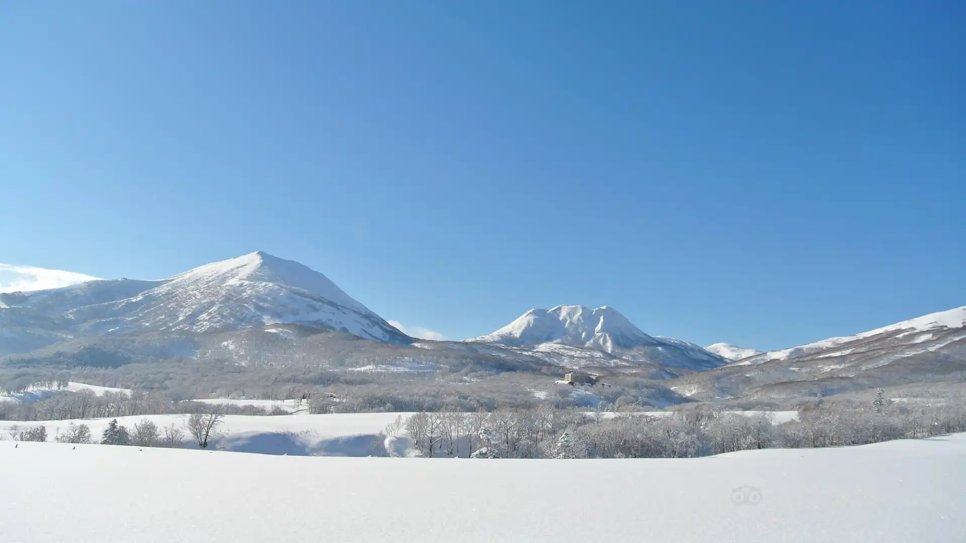 Hotels near White Isle Niseko
