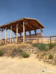 Red Gulch Dinosaur Tracksite