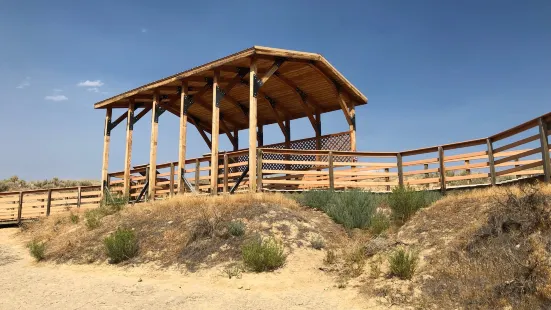 Red Gulch Dinosaur Tracksite