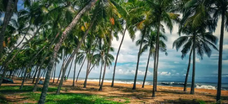 Hotels in Malappuram