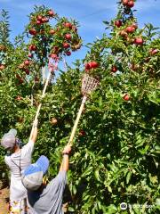 Harbes Orchard