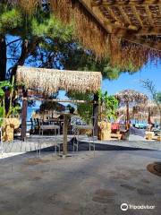 Pachis Beach Bar