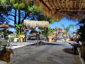 Pachis Beach Bar
