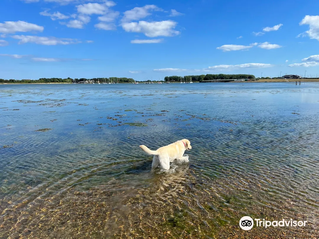 5_Langstone Harbour