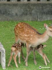 Rokuen Park