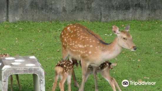 Rokuen Park