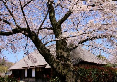 Jokenji Temple