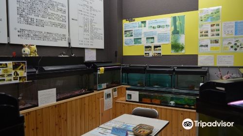 高千穂峡淡水魚水族館