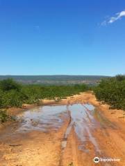 Moremi Gorge