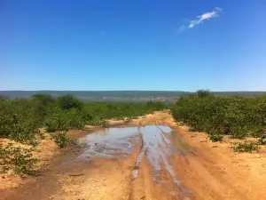 Moremi Gorge