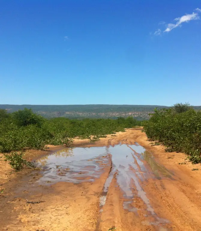 Palapye