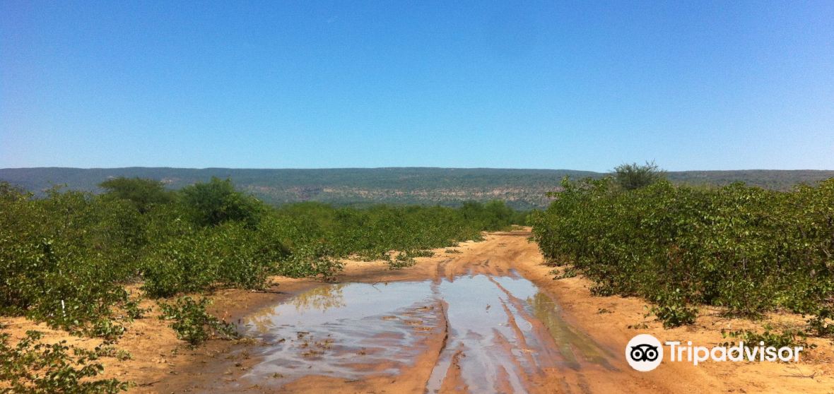 Things to Do in Palapye in 2025 Top Attractions, Local Food, Hotels