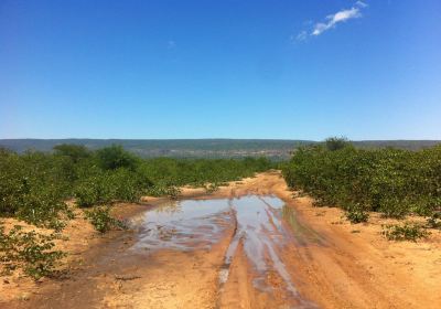 Moremi Gorge