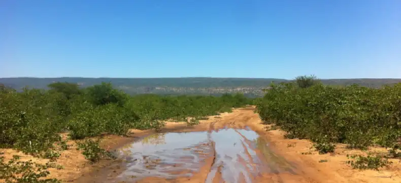 Hotéis em Palapye