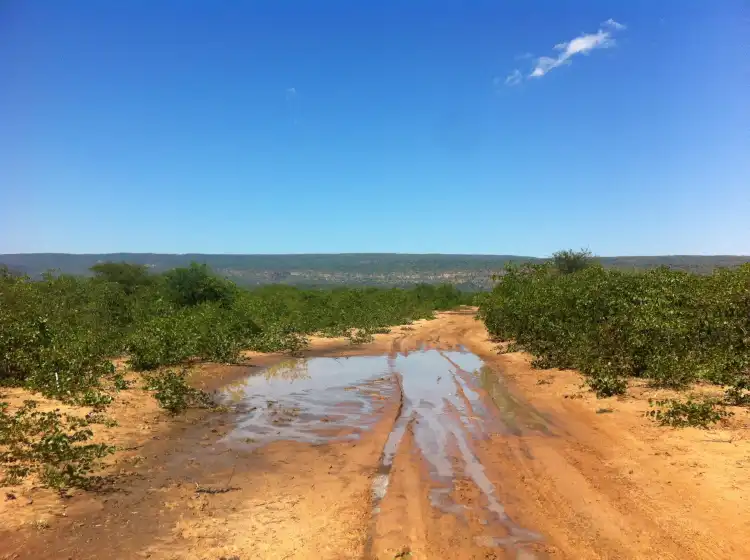 Hotels in Palapye