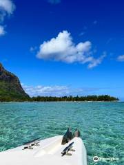 Mauritius Sea Discovery
