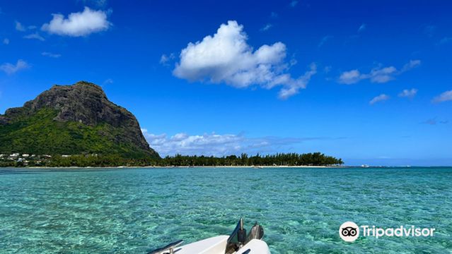 Mauritius Sea Discovery