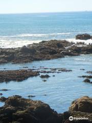 Bean Hollow State Beach