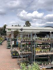 Squire's Garden Centre