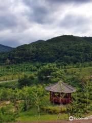 National Center for Forest Therapy