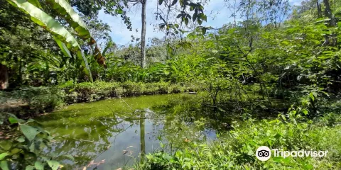 Corbin Local Wildlife