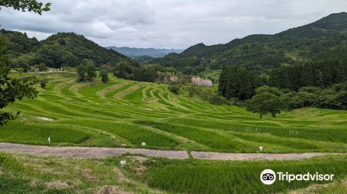 Oyama Rice Terraces