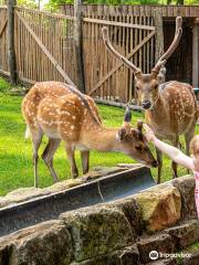 Tierpark Nordhorn