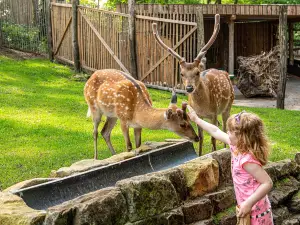 Nordhorn Zoo