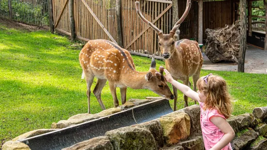 Tierpark Nordhorn