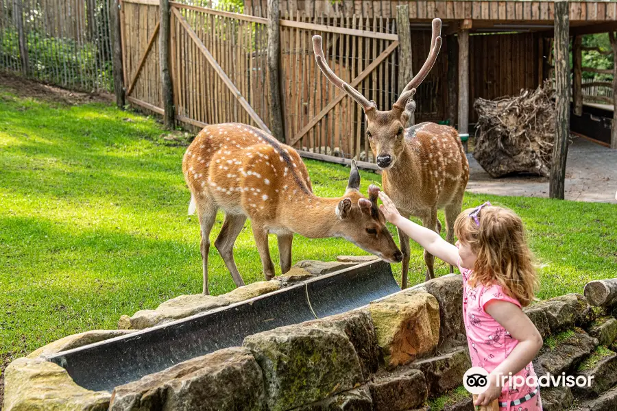 Nordhorn Zoo