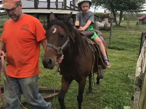 Country Barn Market