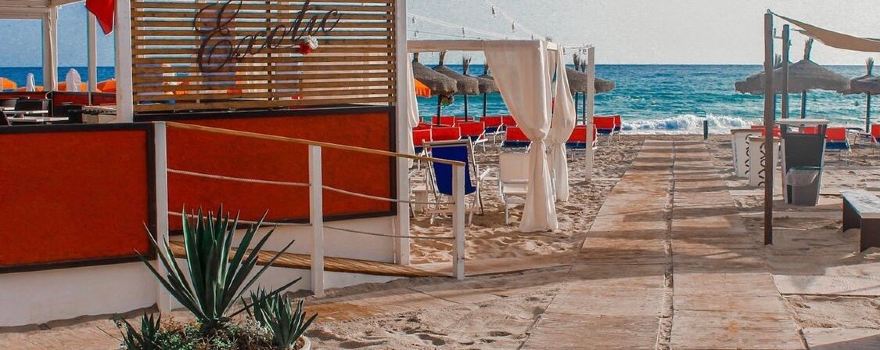Lido Exotic