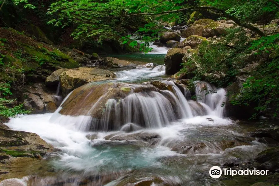 Nishizawa Gorge