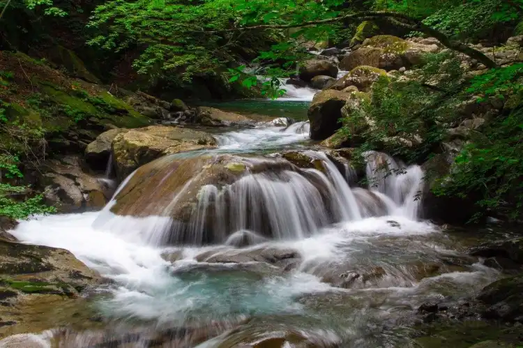 Hotels in Yamanashi