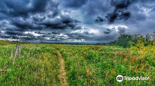 Stanmore Country Park, London