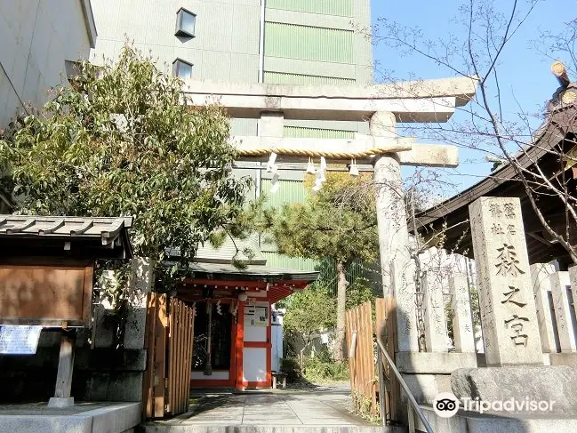 Kasasagiri Morinomiya Shrine