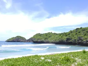 Pantai Srau