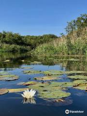 Parque nacional Müritz