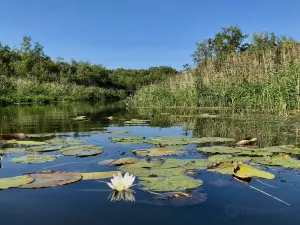 ミューリッツ＝ナツィオナル・パーク