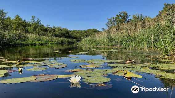 Mueritz-Nationalpark (Mueritz National Park)