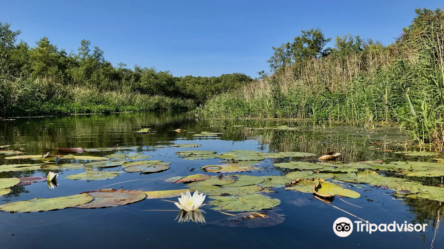 1_Mueritz-Nationalpark (Mueritz National Park)