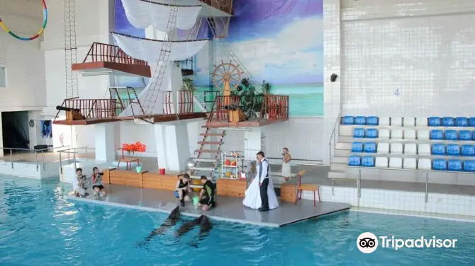 3_Dolphinarium Naberezhnye Chelny