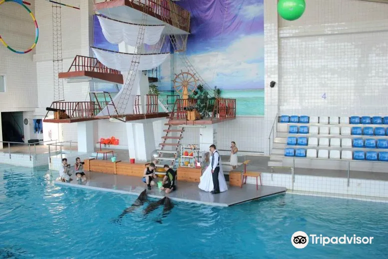 3_Dolphinarium Naberezhnye Chelny